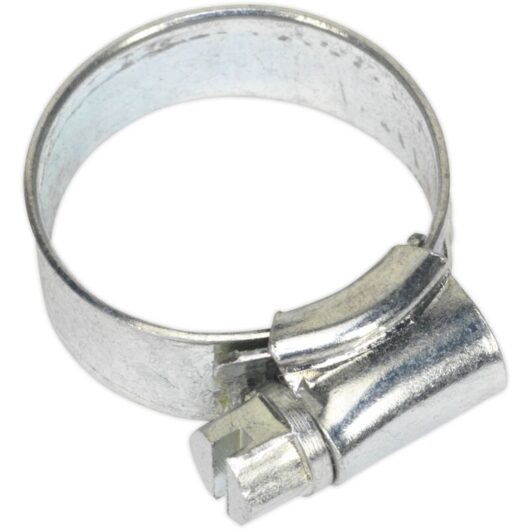Hose Clip Zinc Plated 16-22MM Pack of 30 - Sealey