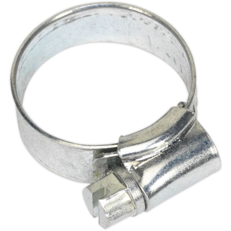 Hose Clip Zinc Plated 16-22MM Pack of 30 - Sealey