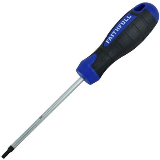 Screwdriver Star (torx) Tip TX25 x 100mm FAISDT25 - Faithfull