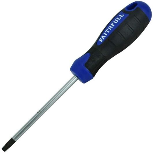 Screwdriver Star (torx) Tip TX30 x 100mm FAISDT30 - Faithfull