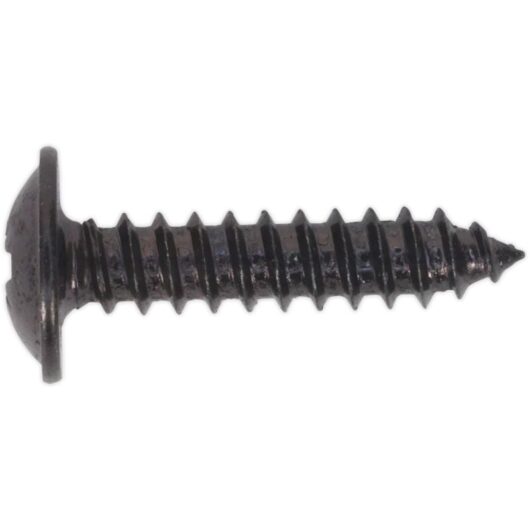 Sealey - BST4219 Self-Tapping Pozi Flanged Head Screw 4.2 x 19mm, Black - Pack of 100
