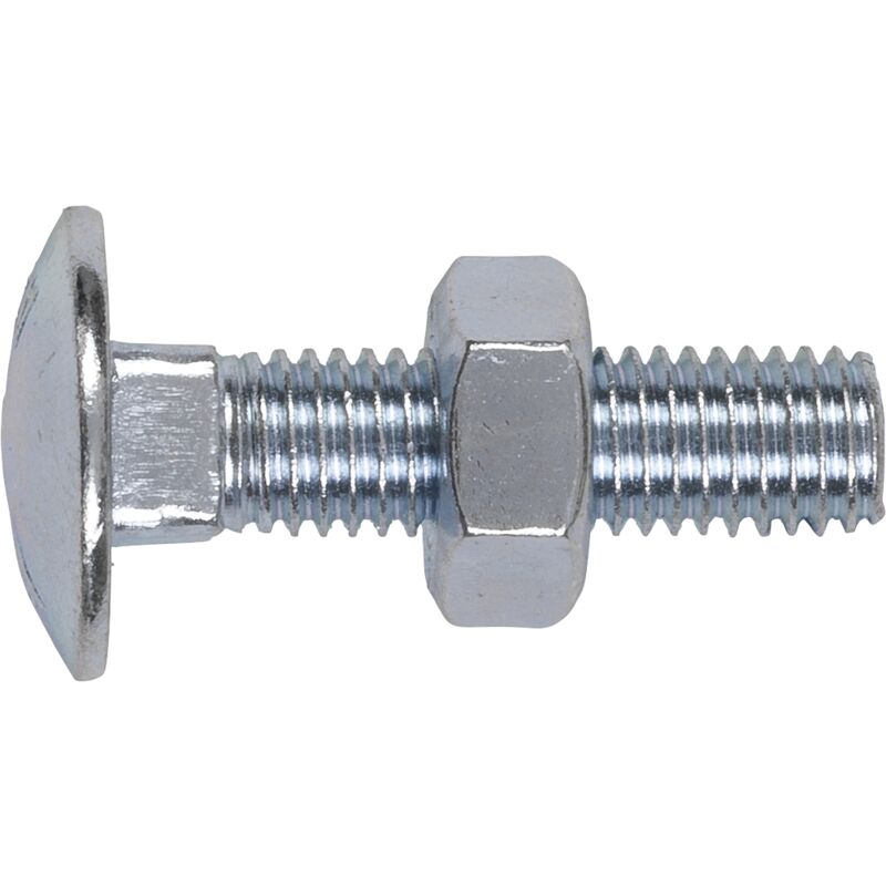 Sealey - CBN1040 Zinc Plated Coach Bolt & Nut M10 x 40mm, din 603 - Pack of 50