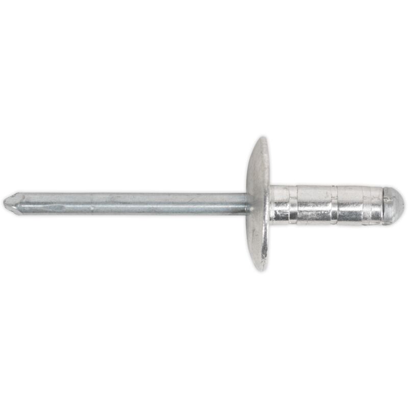 Sealey - RM4813L Aluminium Multi-Grip Large Flange Rivet 4.8 x 13mm - Pack of 200