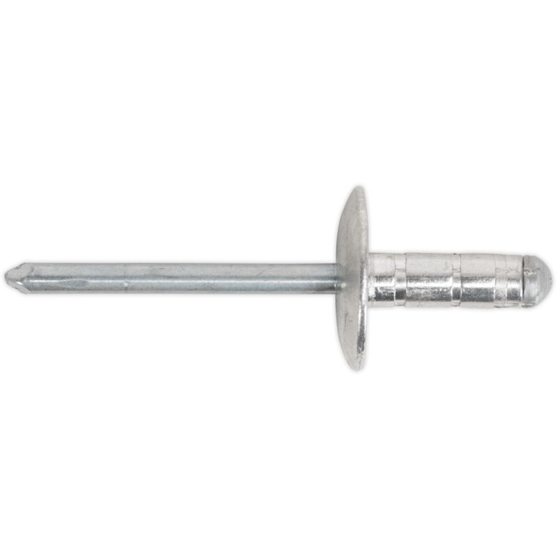 Sealey - RM4819L Aluminium Multi-Grip Large Flange Rivet 4.8 x 19mm - Pack of 200