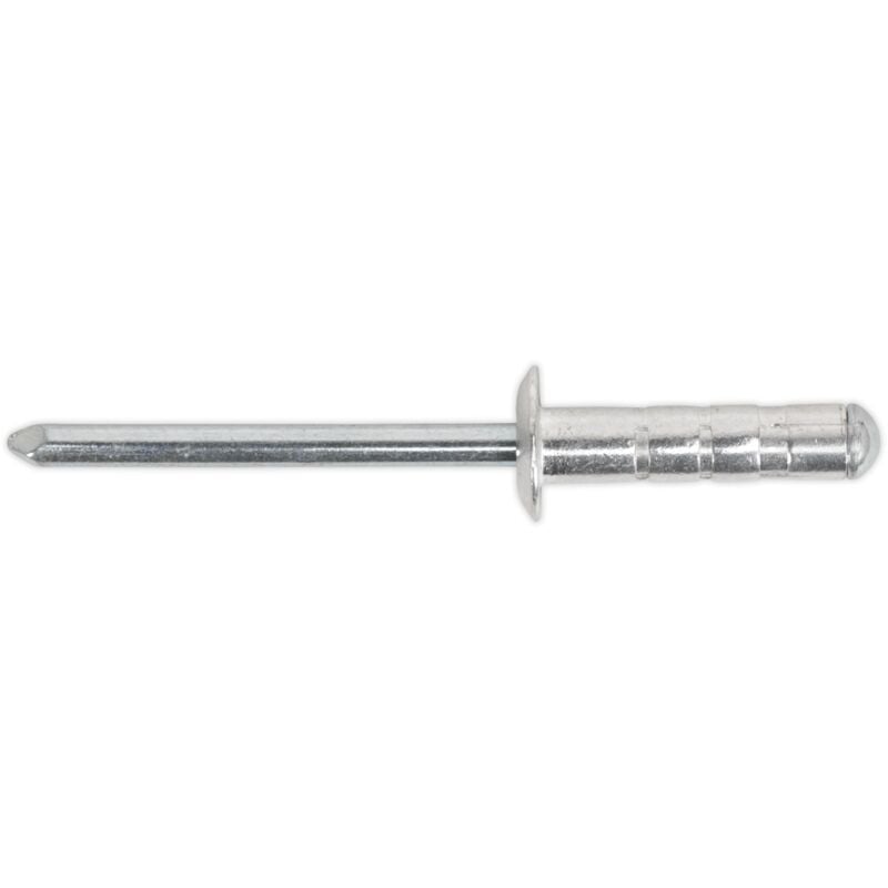 Sealey - RM4819S Aluminium Multi-Grip Standard Flange Rivet 4.8 x 19mm - Pack of 200