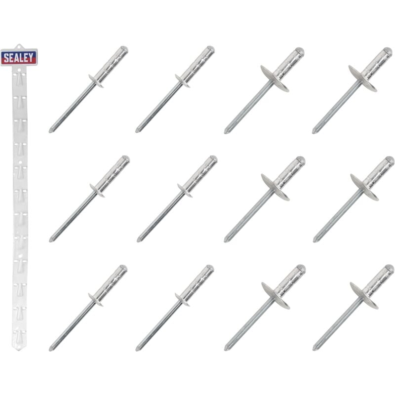 Sealey RVSET Clip Strip Deal - Aluminium Rivets