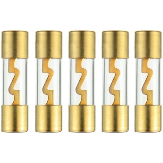 60A Gold Plated Glass AGU Car Audio Fuse for Car/Auto/Marine Audio Stereo Amplifier Power Protection (Pack of 5)