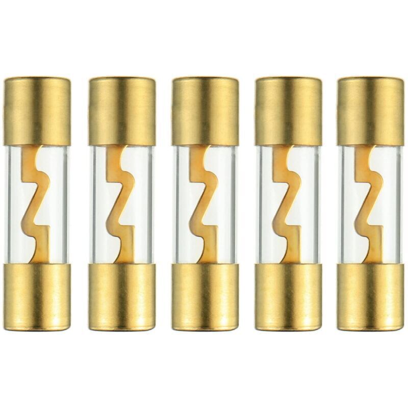 60A Gold Plated Glass AGU Car Audio Fuse for Car/Auto/Marine Audio Stereo Amplifier Power Protection (Pack of 5)