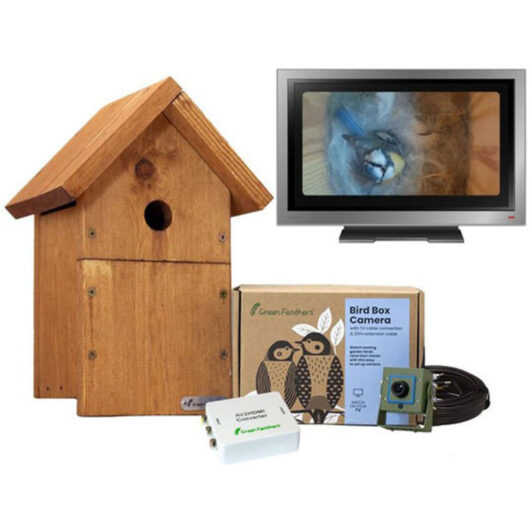 Cable Connection 1080p HD Camera and Small Wooden Bird Box Starter Pack