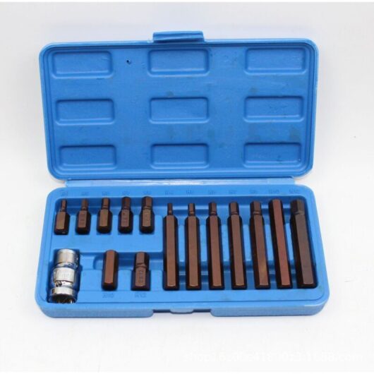Set of 14 short and long Allen hex bits with 1/2" square drive adapter